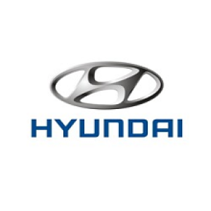 Підлокітники на Hyundai