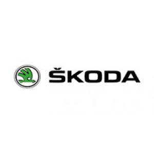 Підлокітники на Skoda